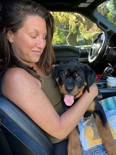 Blue, a Rottweiler puppy from Pawrade