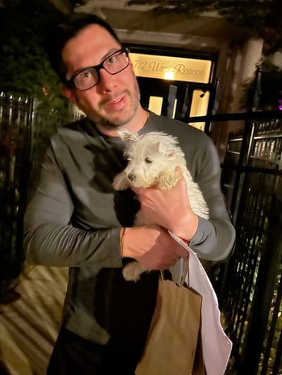 Flanders, a West Highland White Terrier - Westie puppy from Pawrade