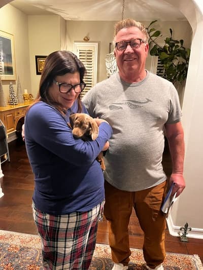 Chelsea, a Dachshund, Mini puppy from Pawrade