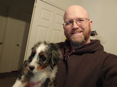 Stephanie, a Bernedoodle, Mini puppy from Pawrade