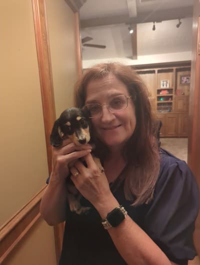 Lobo, a Dachshund, Mini puppy from Pawrade