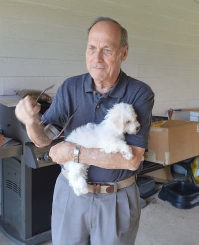 Tessa, a Bichon Frise puppy from Pawrade