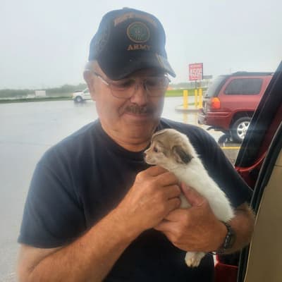 Cotton, a Chihuahua puppy from Pawrade