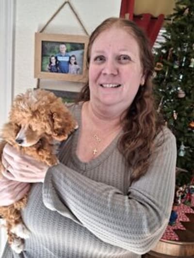 Ava, a Poodle, Toy puppy from Pawrade