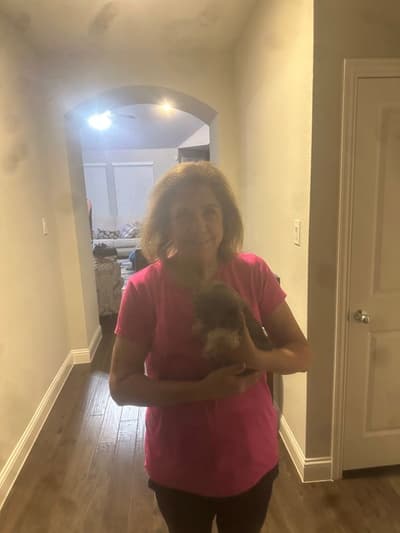 Fauna, a Havanese puppy from Pawrade