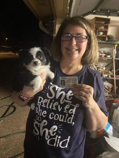 Alida, a Miniature Australian Shepherd puppy from Pawrade