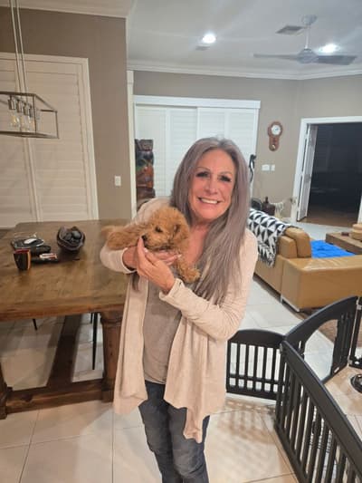 Caleb, a Bich-Poo - Bichpoo puppy from Pawrade