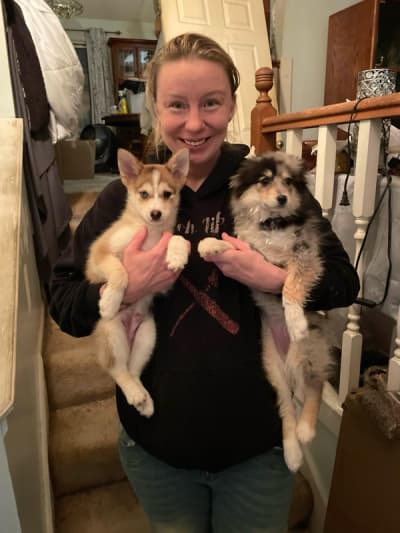 Vance, a Pomsky puppy from Pawrade