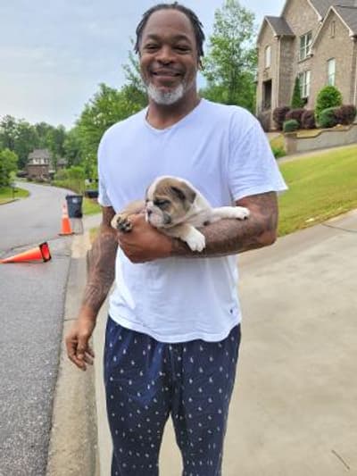 Walker, a English Bulldog puppy from Pawrade