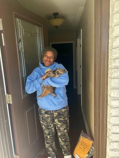 Elmo, a Morkie / Yorktese puppy from Pawrade