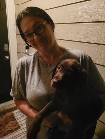 Henderson, a Labrador Retriever puppy from Pawrade
