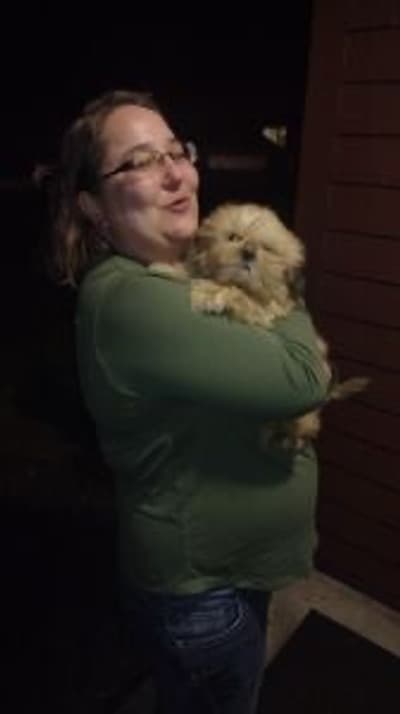 Chance, a Shih Tzu puppy from Pawrade
