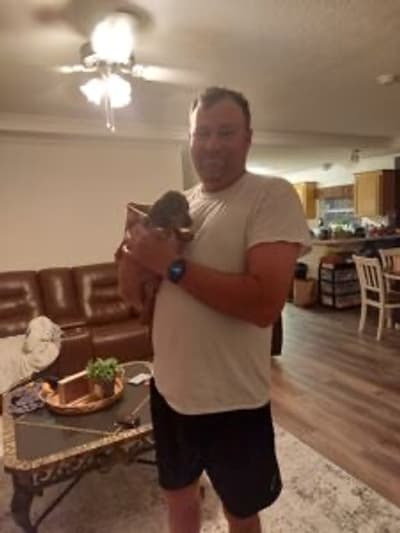 Blake, a Dachshund, Mini puppy from Pawrade