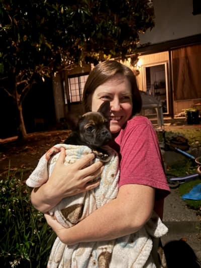 Bix, a French Bulldog puppy from Pawrade