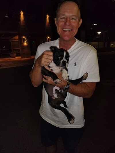 Cisko, a Boston Terrier puppy from Pawrade