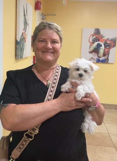 Kanga, a Maltese puppy from Pawrade