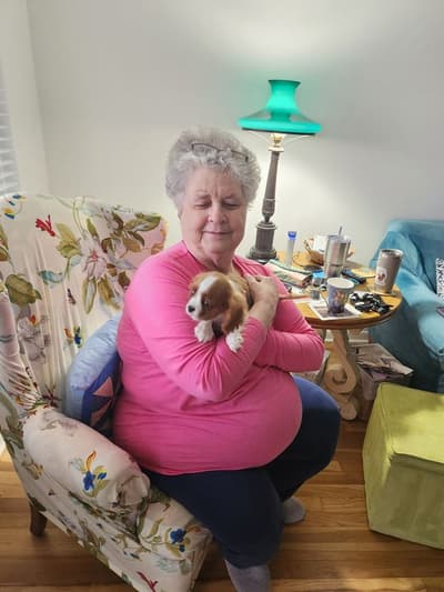 Darcy, a Cavalier King Charles Spaniel puppy from Pawrade
