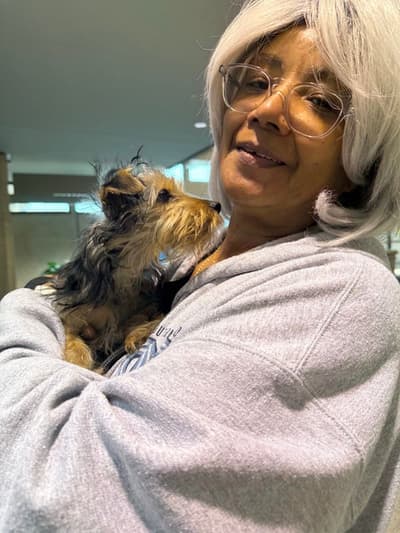 Bailey, a Yorkshire Terrier - Yorkie puppy from Pawrade