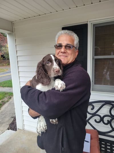 Kado, a English Springer Spaniel puppy from Pawrade