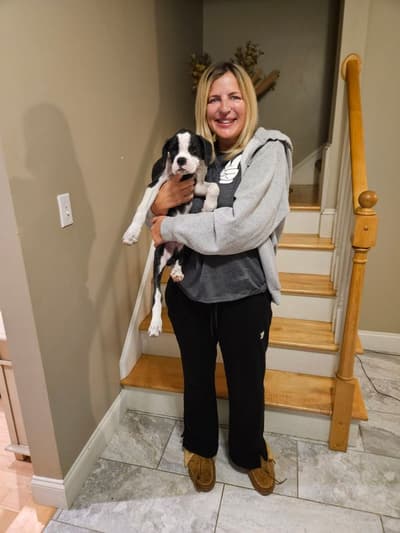 Reed, a Boxer puppy from Pawrade