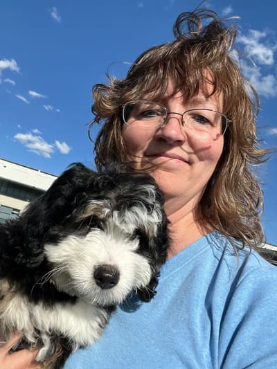 Delaney, a Bernedoodle, Mini puppy from Pawrade