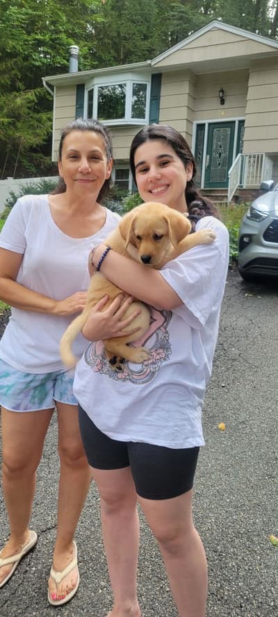 Selena, a Labrador Retriever puppy from Pawrade