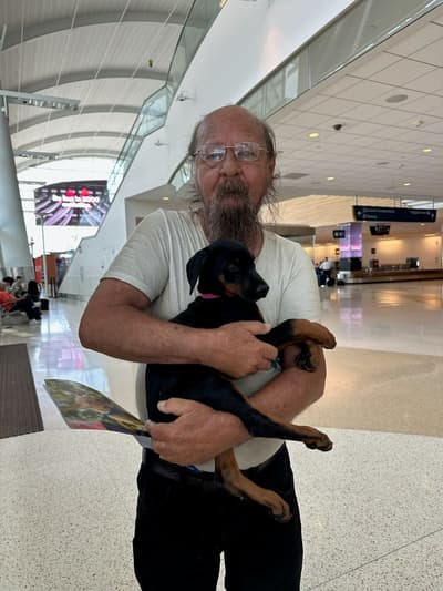 Piper, a Doberman Pinscher puppy from Pawrade