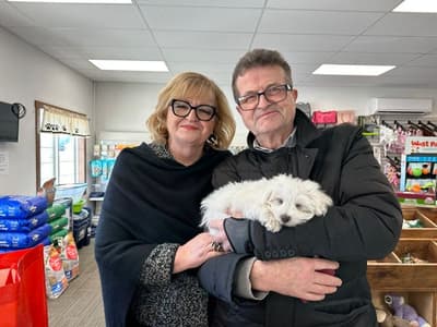 Sebastian, a Maltese puppy from Pawrade
