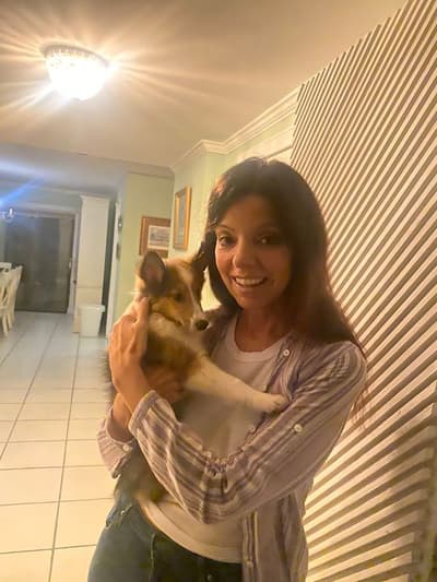 Rolf, a Shetland Sheepdog - Sheltie puppy from Pawrade
