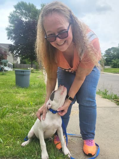 Queen, a American Bully puppy from Pawrade