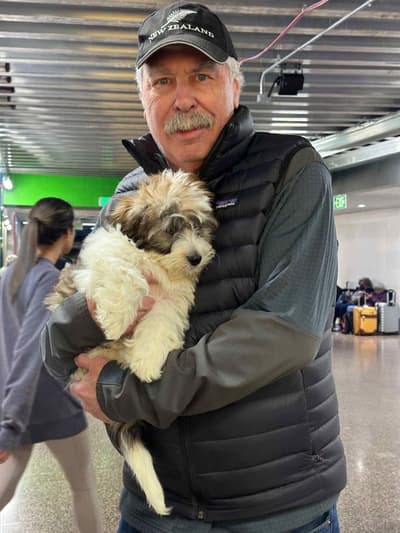 Mike, a Havanese puppy from Pawrade
