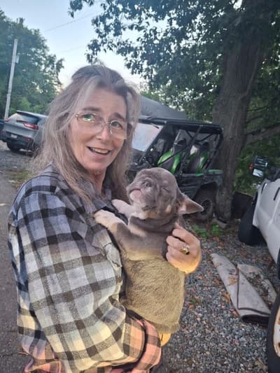 Todd, a French Bulldog puppy from Pawrade