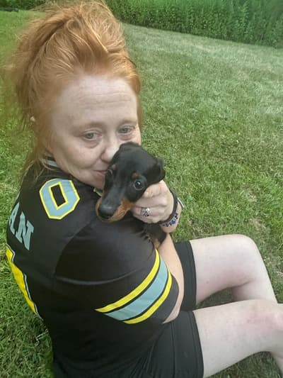 Cameron, a Dachshund, Mini puppy from Pawrade