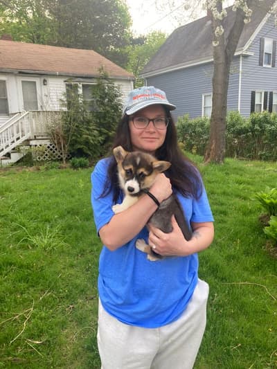 Fergus, a Corgi, Pembroke Welsh puppy from Pawrade