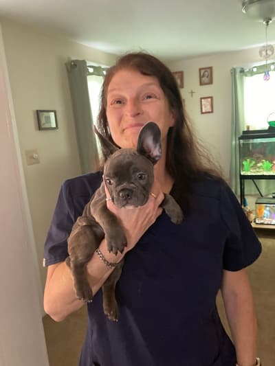 Kali, a French Bulldog puppy from Pawrade