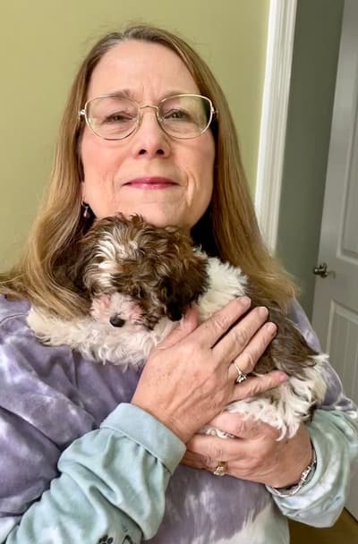 Bruno, a Yorkiepoo - Yorkie Poo puppy from Pawrade