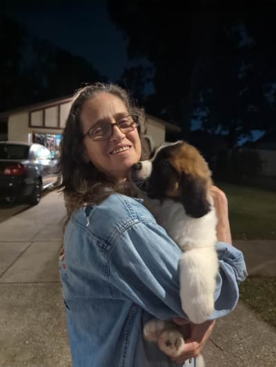 Norton, a Saint Bernard - St. Bernard puppy from Pawrade