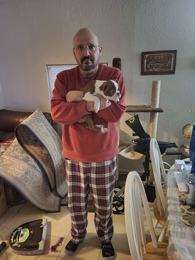Sumter, a Boston Terrier puppy from Pawrade