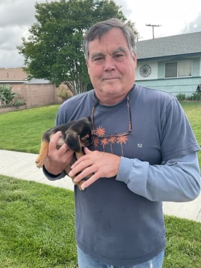 Gage, a Puggle puppy from Pawrade