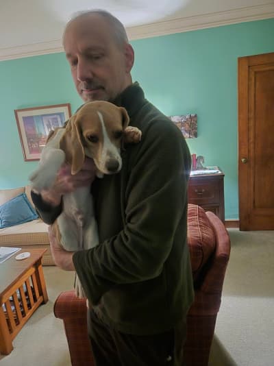 Bordeaux, a Beagle puppy from Pawrade