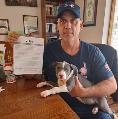 Paulette, a American Bully puppy from Pawrade