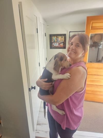 Nathan, a Beagle puppy from Pawrade