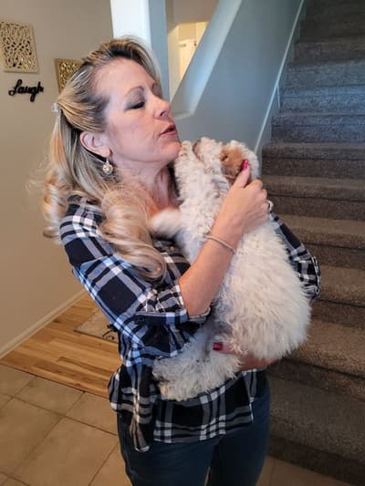 Space, a Goldendoodle, Mini puppy from Pawrade