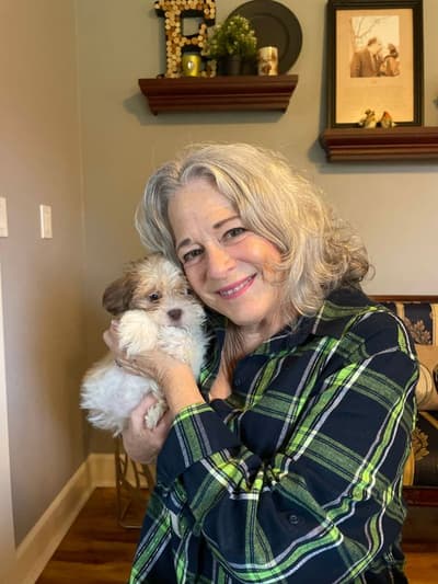 Brynlee, a Shih Tzu puppy from Pawrade