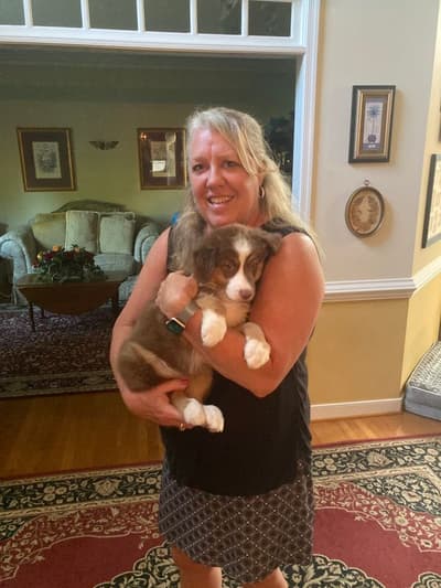 Jett, a Australian Shepherd puppy from Pawrade