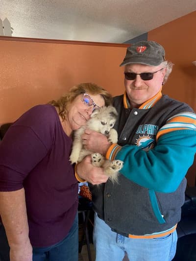 Lira, a Pomsky puppy from Pawrade