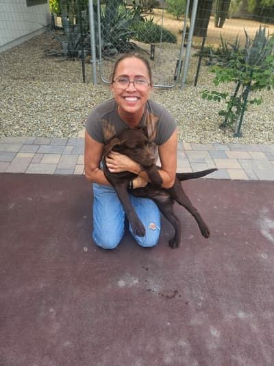 Hymn, a Labrador Retriever puppy from Pawrade