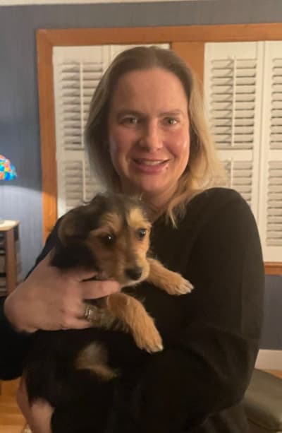 Blade, a Morkie / Yorktese puppy from Pawrade