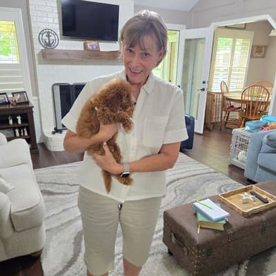 Heidi, a Goldendoodle, Mini puppy from Pawrade