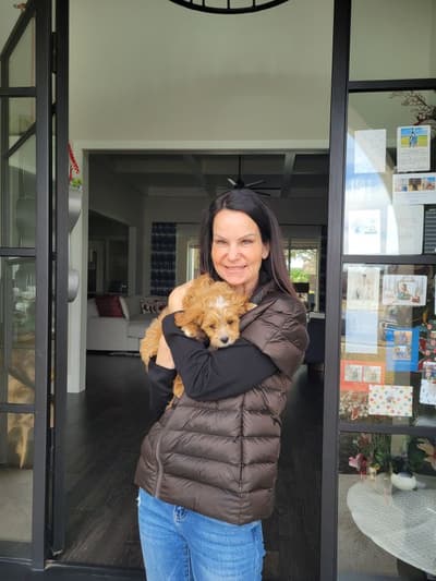 Kade, a Cavapoo puppy from Pawrade